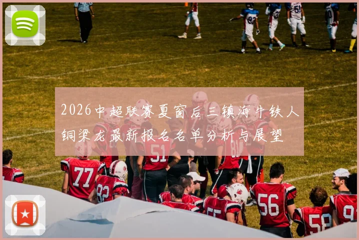 2026中超联赛夏窗后三镇海牛铁人铜梁龙最新报名名单分析与展望
